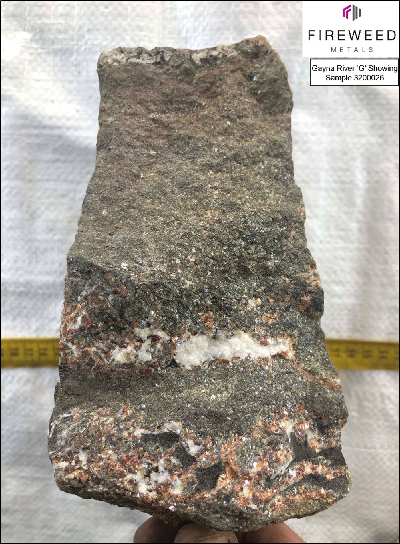Gayna River ’G’ showing, sample 3200026. Lower-Host angular dolostone breccia. Matrix infilled with dolomite, disseminated crystalline yellow and red sphalerite, and pyrite